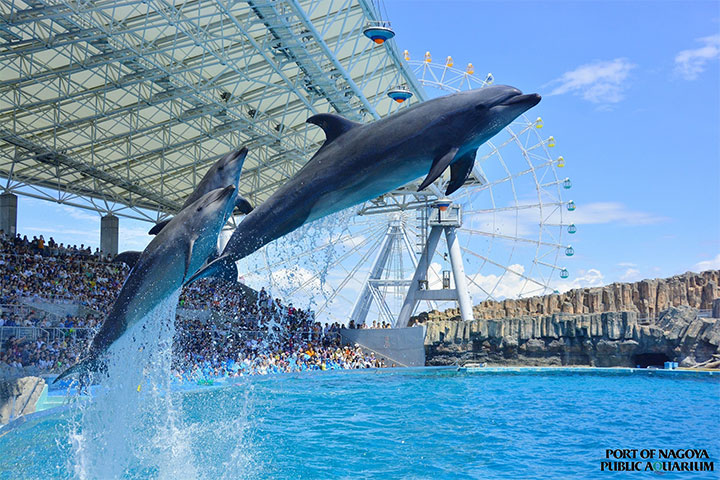 名古屋港水族館　外観