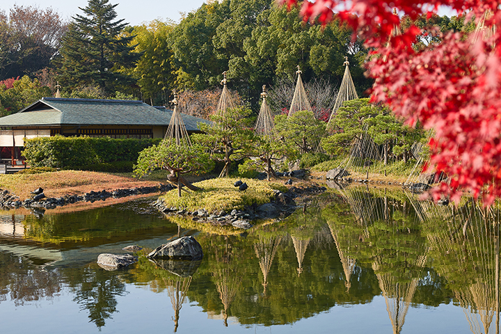 Japanese style garden & Shrines-白鳥庭園&神社-名古屋市内の日本庭園・神社を巡る旅