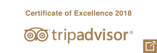 tripadvisor