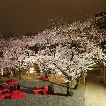 ～若宮の杜 迎賓館～<br>SAKURAプラン 夜席「観桜(かんおう)フレンチ会席」