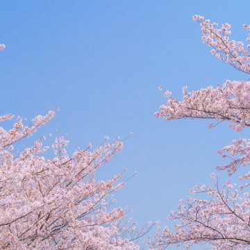 卒業パーティープラン