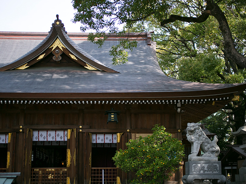 名古屋栄の都心にありつつも緑ゆたかな<br />
若宮八幡社