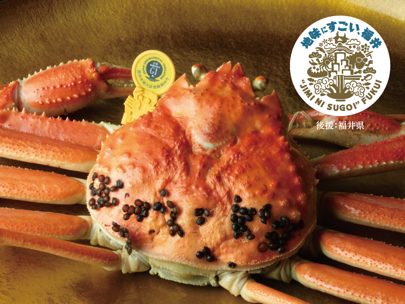 冬の味覚の王様「越前がに」づくし 2025-2026