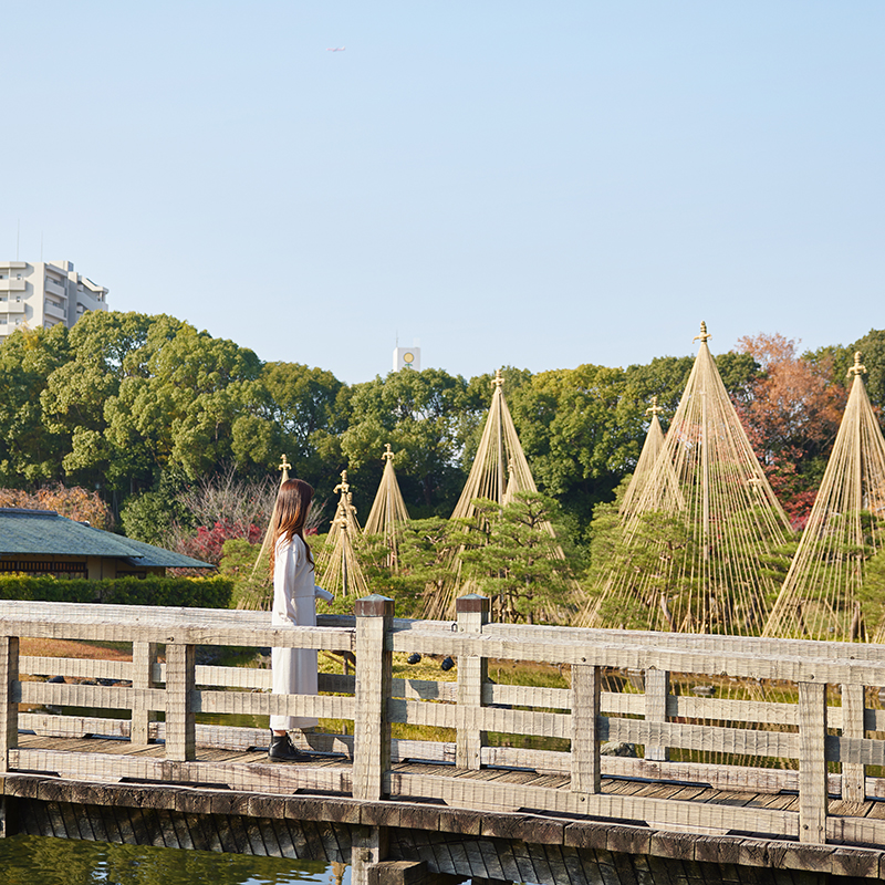 名古屋市内最大級の日本庭園 
白鳥庭園