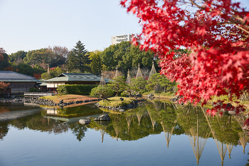 名古屋市内最大級の日本庭園<br />
白鳥庭園