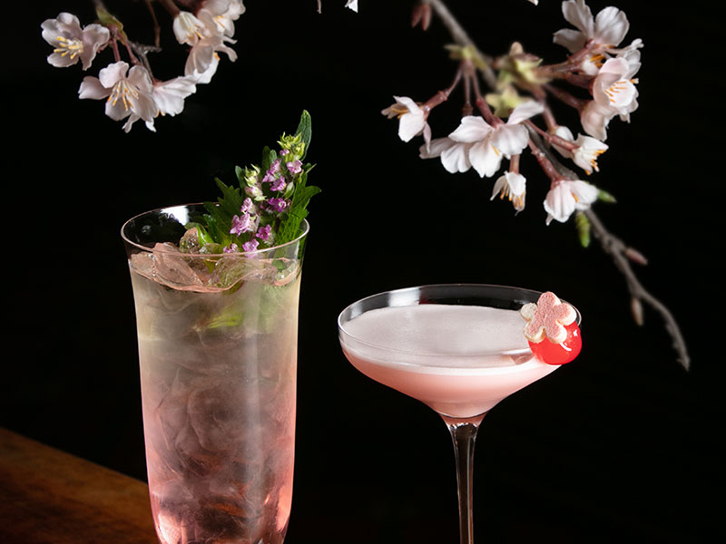 SAKURA Cocktail