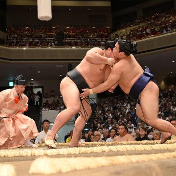 力士たちが繰り広げる熱戦を間近で