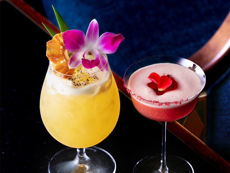 Cocktail Collection