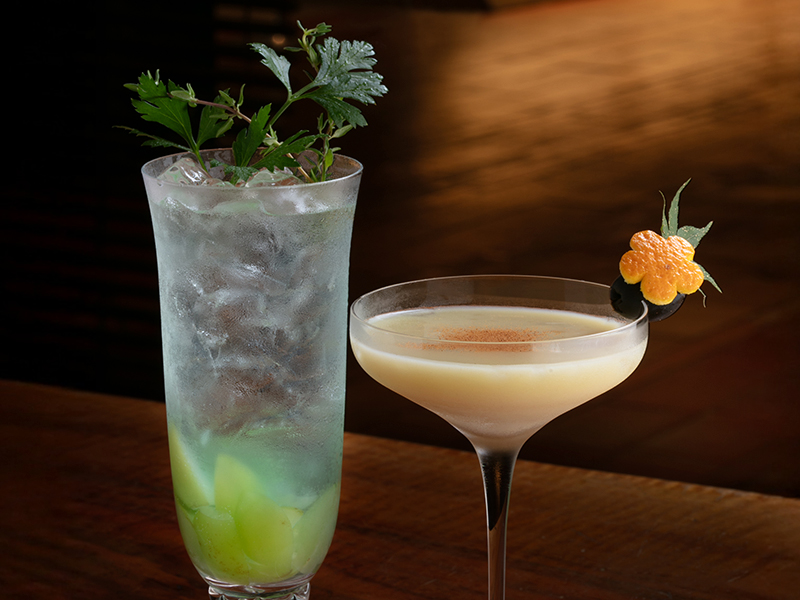 Cocktail Collection