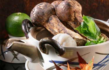 〈呉竹〉旬松茸食べつくし 極会席