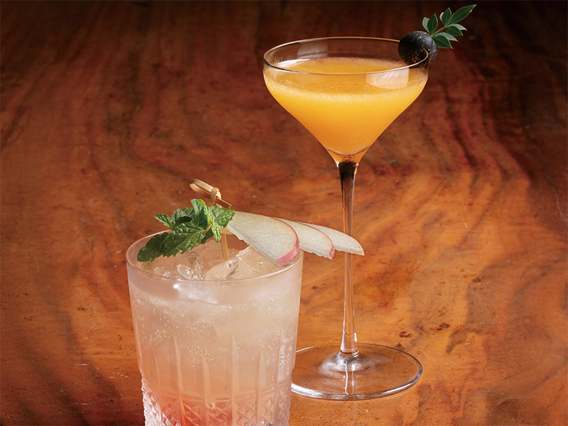 Cocktail Collection