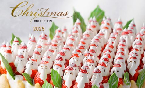 CHRISTMAS COLLECTION 2025