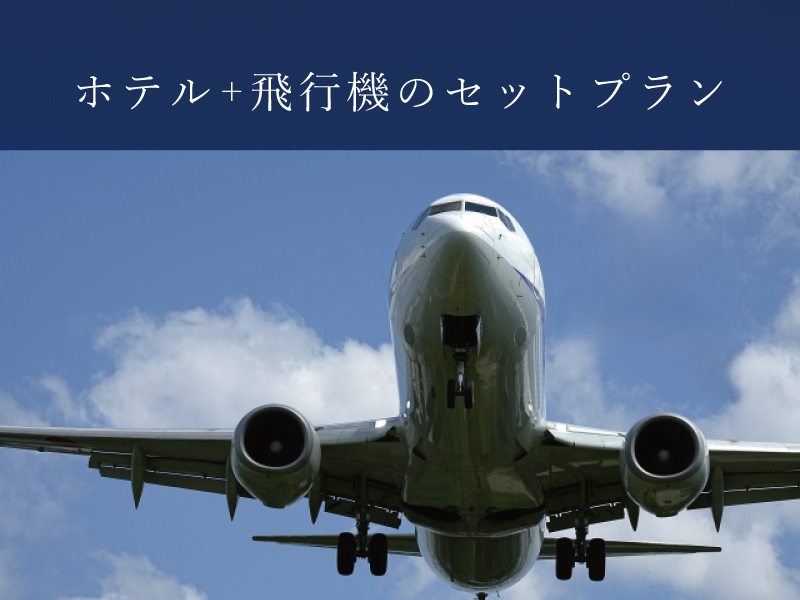飛行機で行く名古屋ステイ<br>ダイナミックパッケージプラン