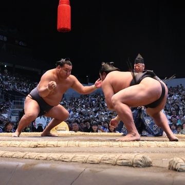 力士たちが繰り広げる熱戦を間近で