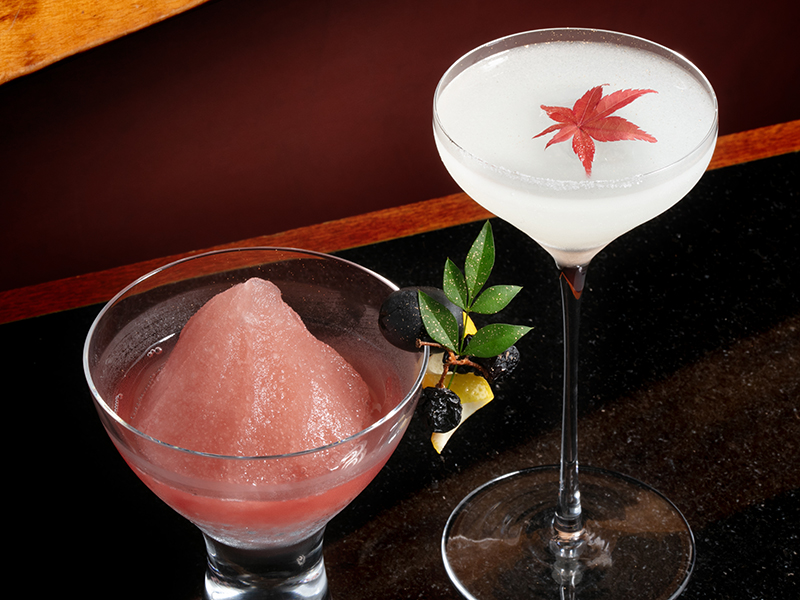 Cocktail Collection