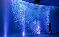名古屋港水族館内の画像